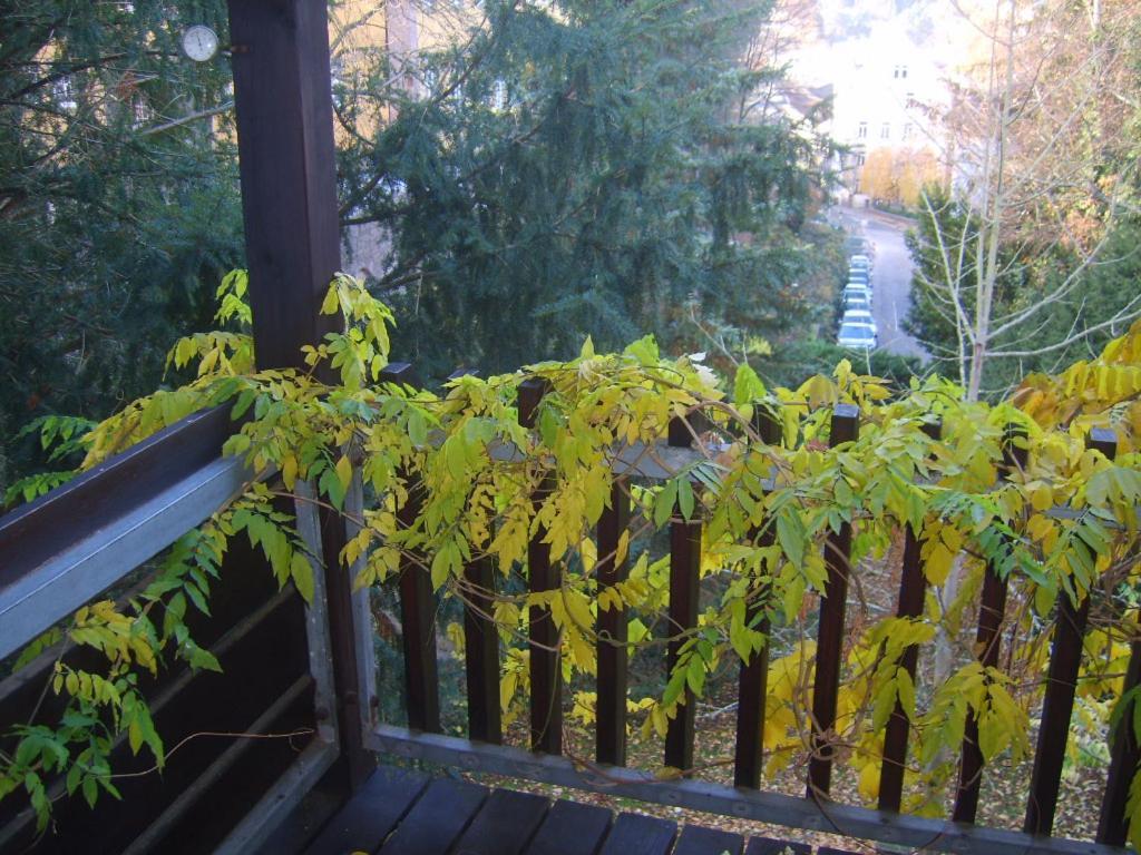 Garden Apartment Baden-Baden Kültér fotó